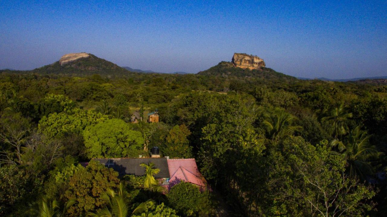 Sigiriya Rock Gate Tree House Hotell Exteriör bild