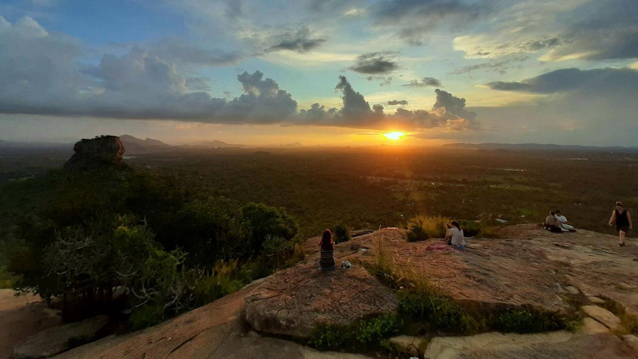 Sigiriya Rock Gate Tree House Hotell Exteriör bild