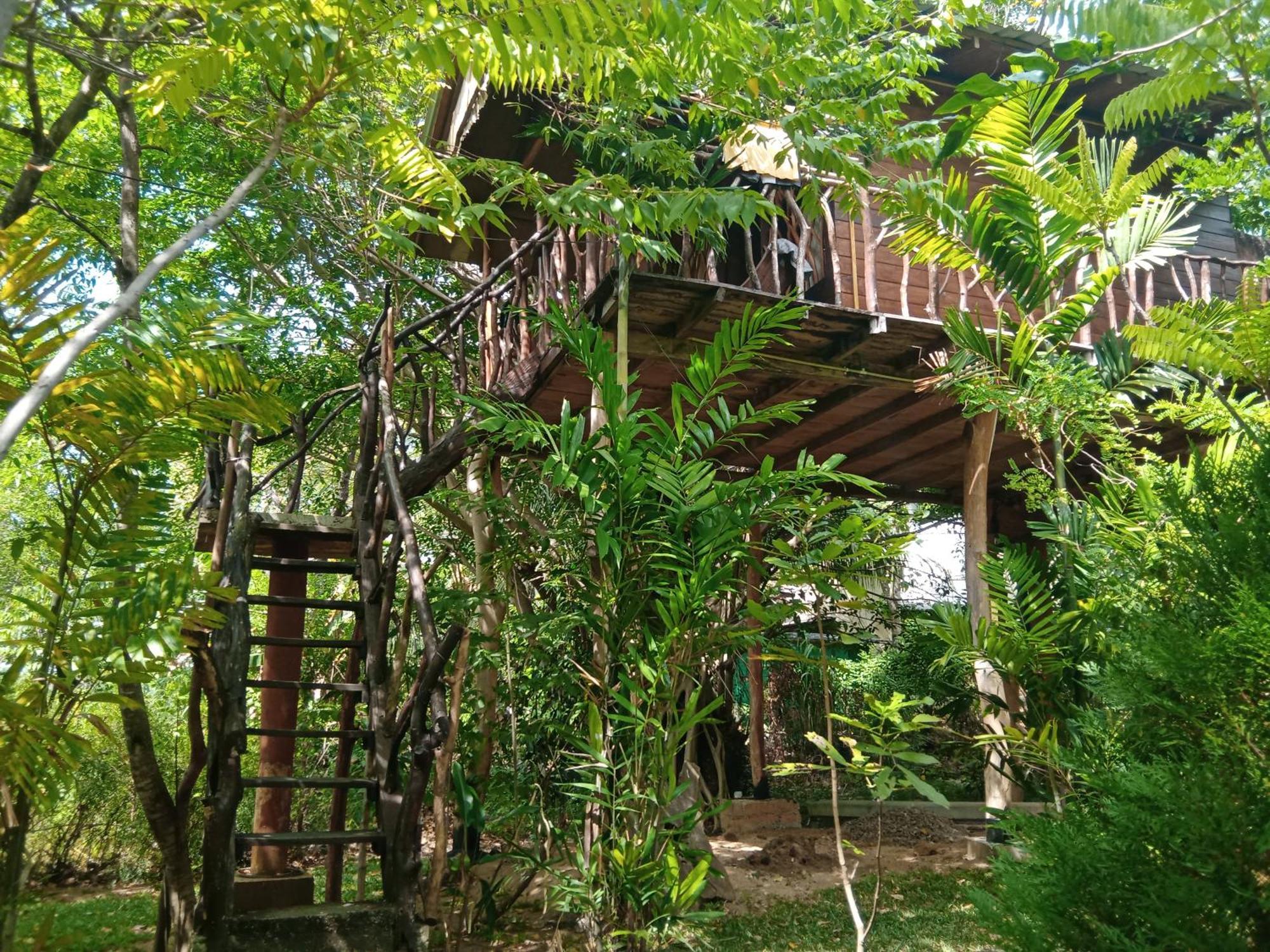 Sigiriya Rock Gate Tree House Hotell Exteriör bild