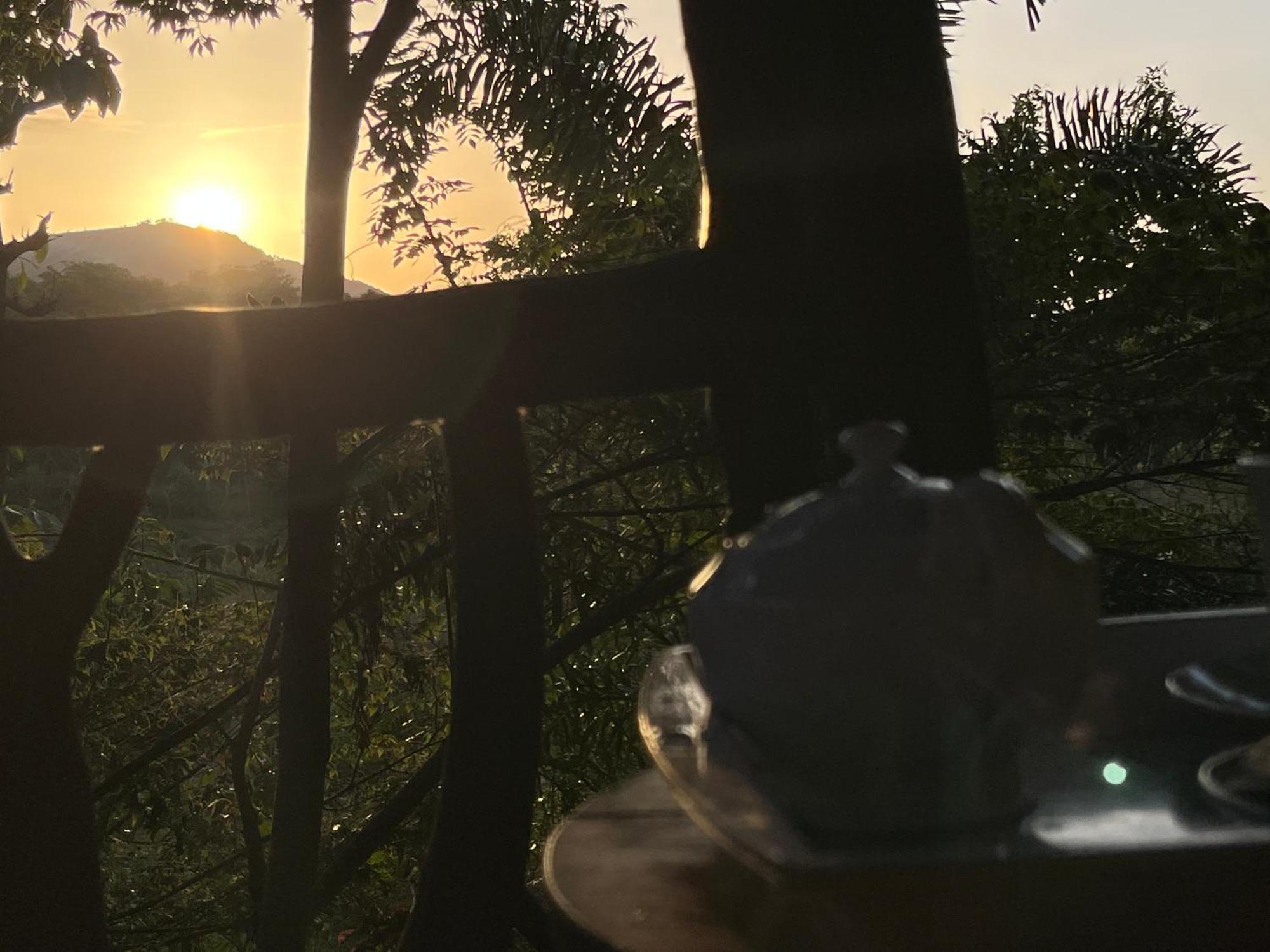 Sigiriya Rock Gate Tree House Hotell Exteriör bild