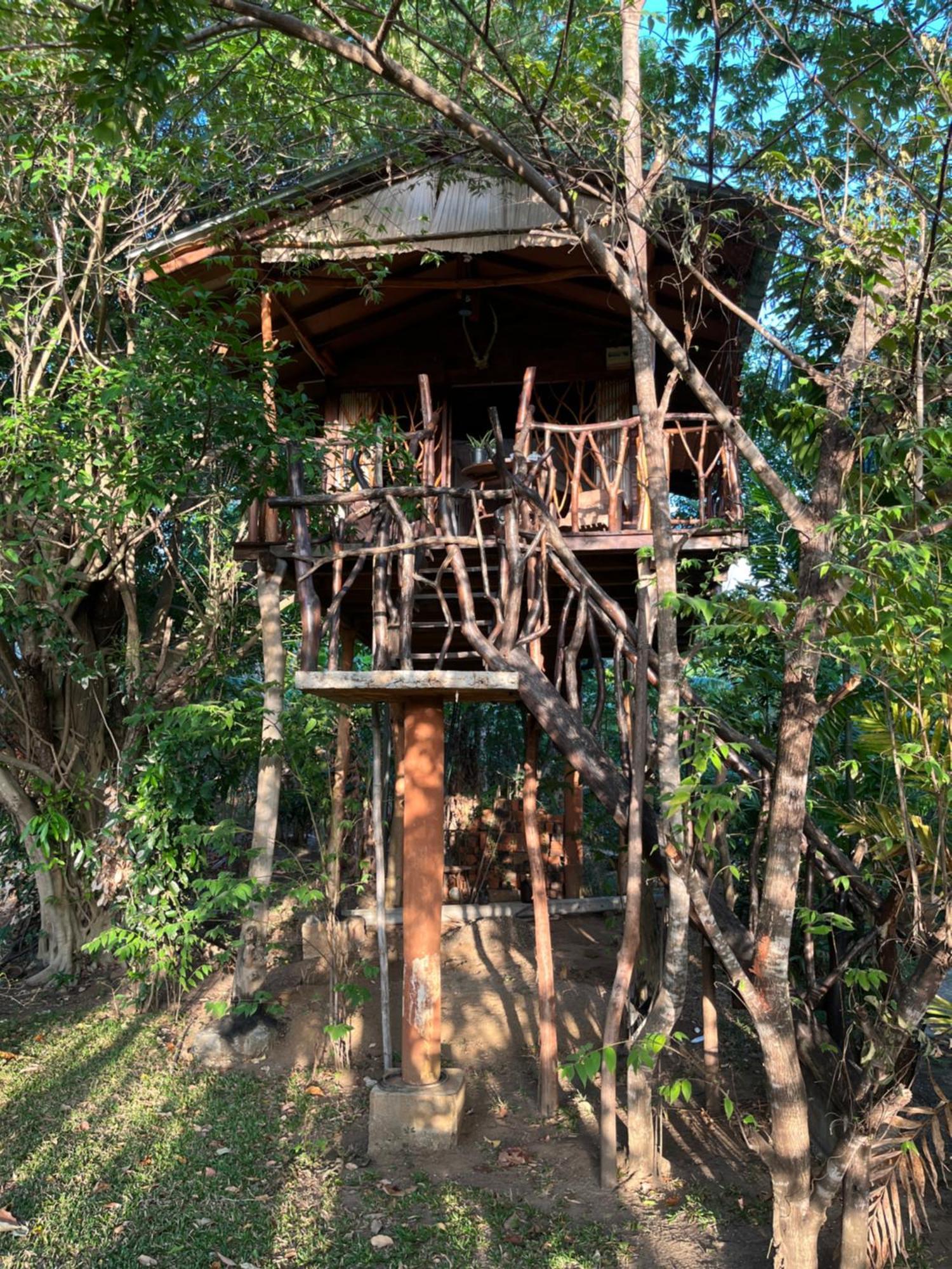 Sigiriya Rock Gate Tree House Hotell Rum bild