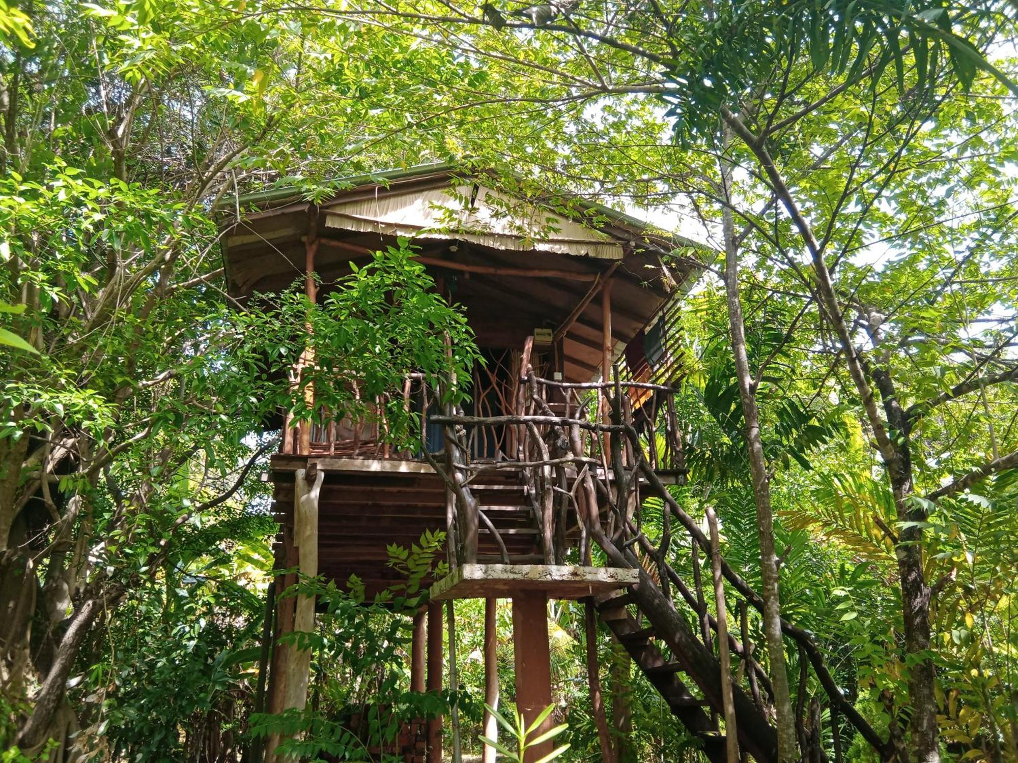 Sigiriya Rock Gate Tree House Hotell Rum bild